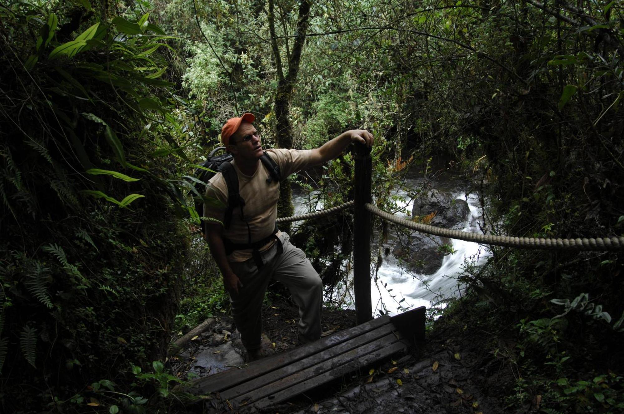 Termas De Papallacta Zewnętrze zdjęcie A bridge in the rainforest